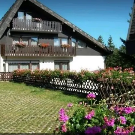 Ferienhaus-schönwald Im Herzen Des Schwarzwaldes 1zimmer Mit Terrasse App17 Schönwalde