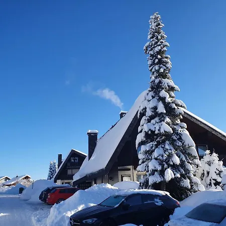 Ferienhaus-schoenwald Im Herzen Des Schwarzwaldes 1zimmer Mit Terrasse App17 Apartment