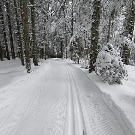 Ferienhaus-schönwald Im Herzen Des Schwarzwaldes 1zimmer Mit Terrasse App17