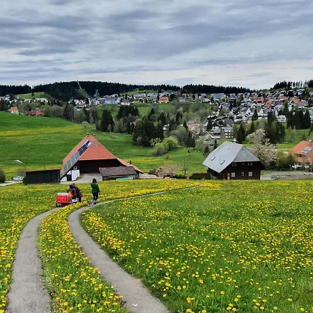 Ferienhaus-schoenwald Im Herzen Des Schwarzwaldes 1zimmer Mit Terrasse App17 Apartamento Schönwalde