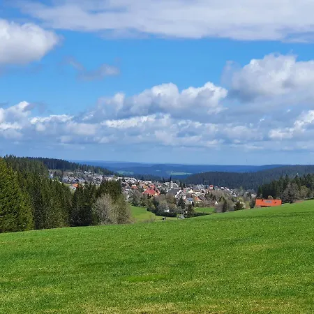 Apartment Ferienhaus-schönwald Im Herzen Des Schwarzwaldes 1zimmer Mit Terrasse App17 *