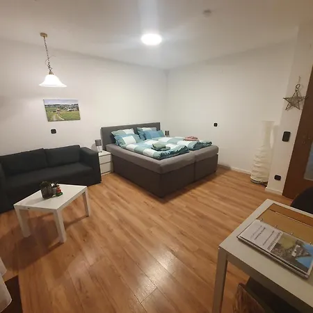 Ferienhaus-schönwald Im Herzen Des Schwarzwaldes 1zimmer Mit Terrasse App17