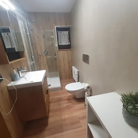 Ferienhaus-schönwald Im Herzen Des Schwarzwaldes 1zimmer Mit Terrasse App17 Apartment