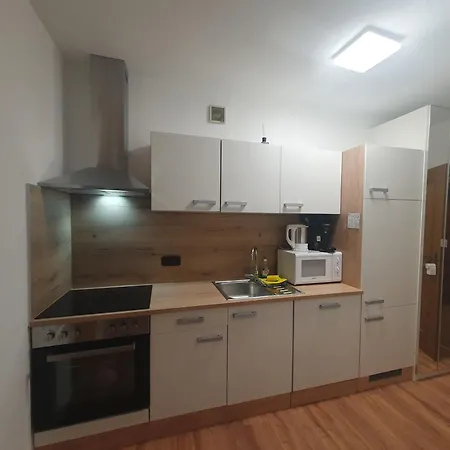 Ferienhaus-schoenwald Im Herzen Des Schwarzwaldes 1zimmer Mit Terrasse App17 Apartment *